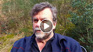 verdi film